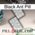 Black Ant Pill 17